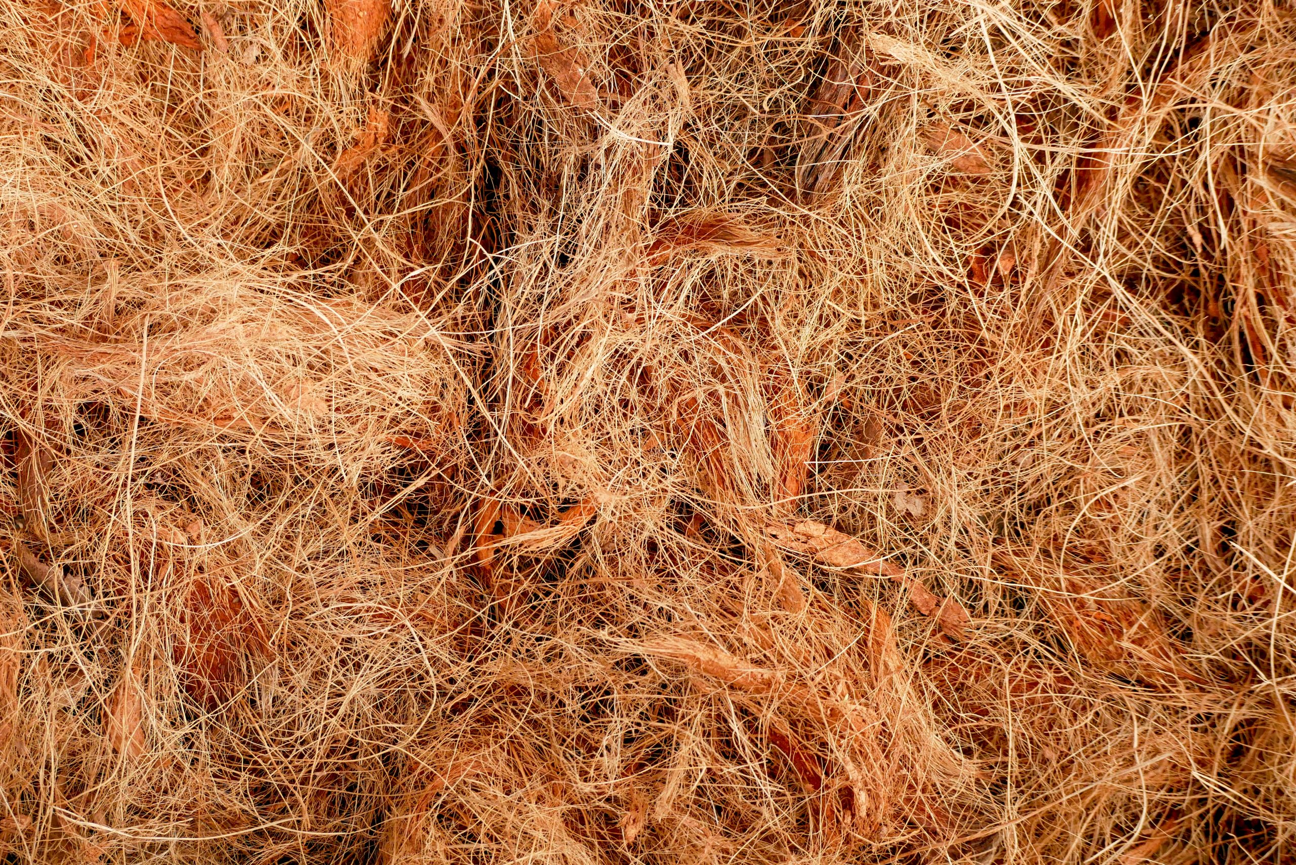 texture Coconut fiber abstract backgroundtexture Coconut fiber abstract background
