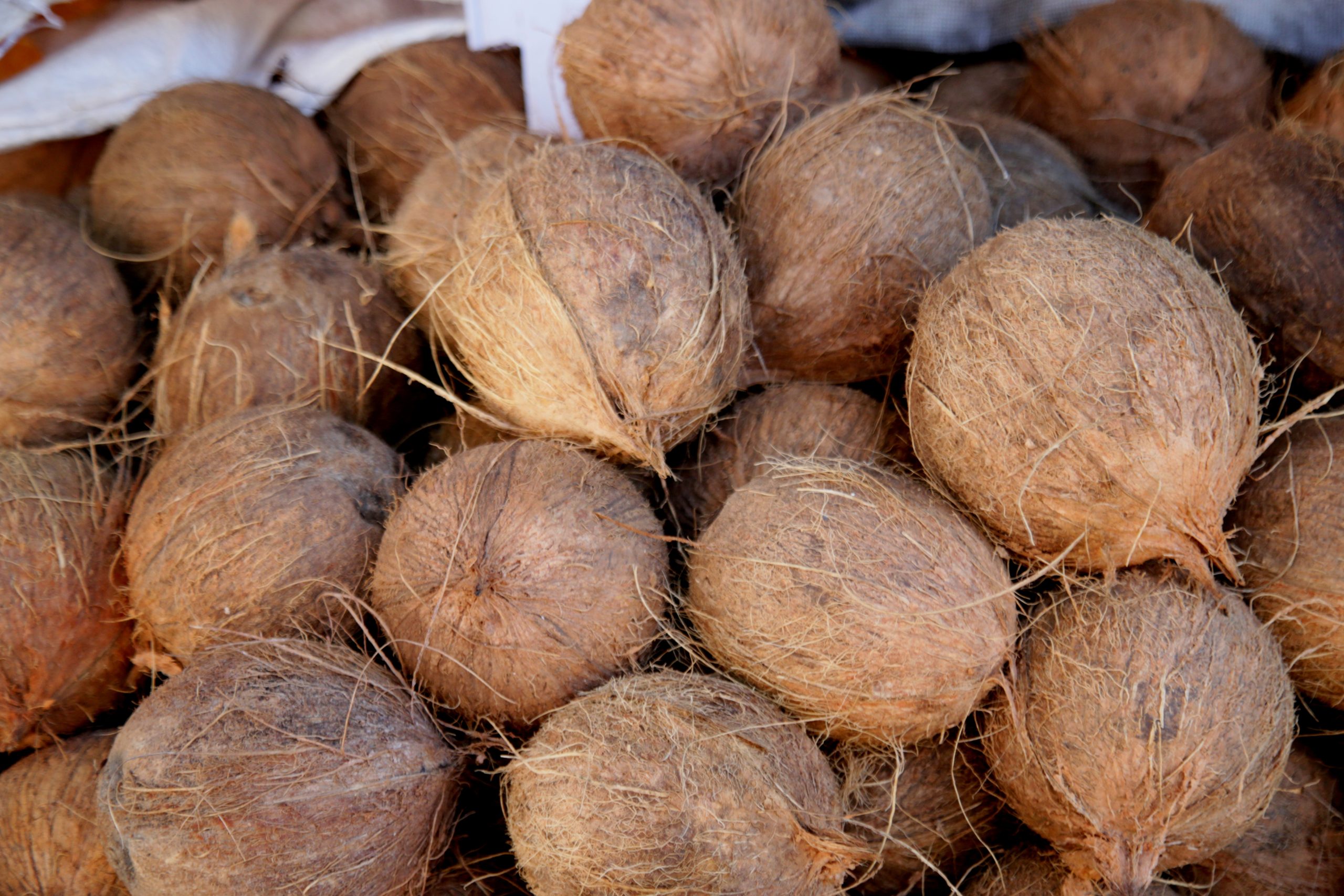 salvador, bahia, brazil - june 28, 2021: dry coconut for sale at the Sao Joaquim fair in the city of Salvador.